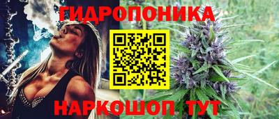 гашик Кулебаки