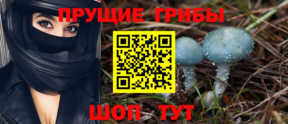 Шахты  Псилоцибиновые грибы MAGIC MUSHROOMS  магазин продажи   Вход с VPN 