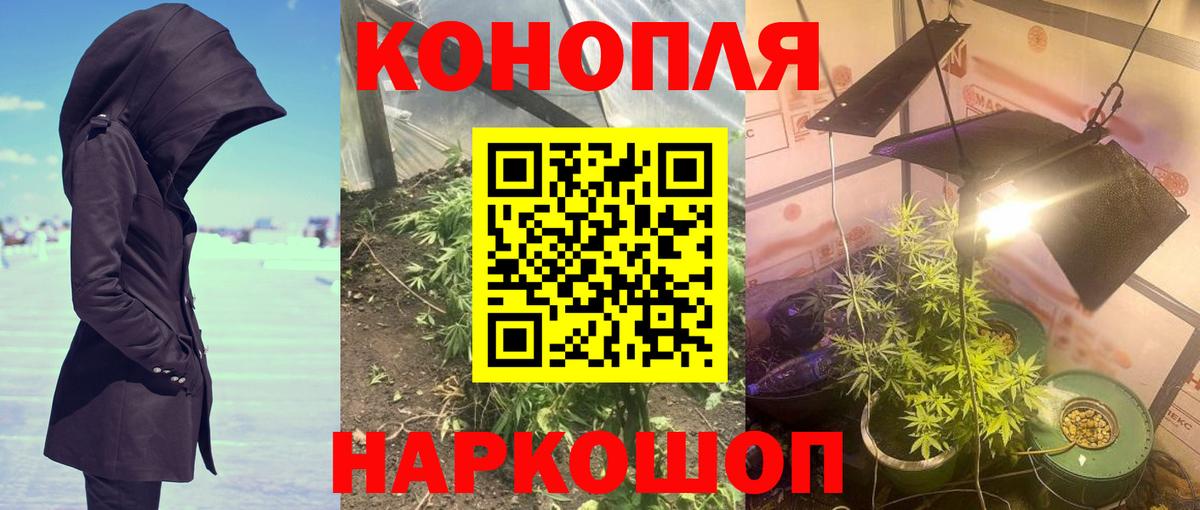 Бошки Шишки гибрид  Вход с VPN  Шахты  Марихуана AK-47  Бошки Шишки VHQ  Каннабис гибрид 
